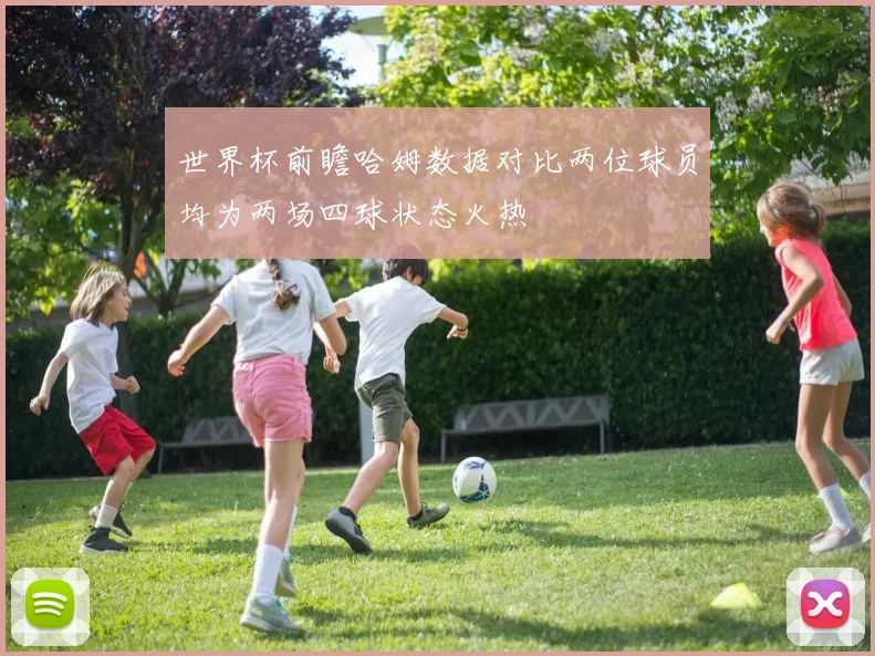 世界杯前瞻哈姆数据对比两位球员均为两场四球状态火热
