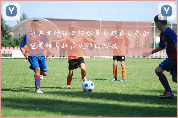 范弗里特谈年轻球员与超巨合作的重要性与适应过程的挑战